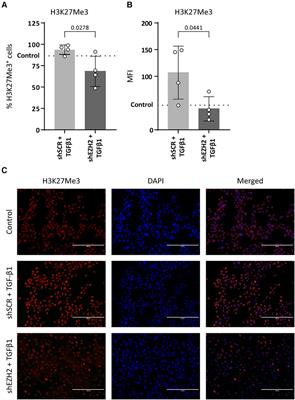 H3K27Me3 abundance increases fibrogenesis during endothelial-to-mesenchymal transition via the silencing of microRNA-29c